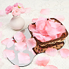 100G Satin Artificial Rose Petals DIY-SP0005-68G-5