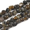 Natural Larvikite Beads Strands GG-CBA9392-24-2