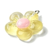 Translucent Resin Pendants RESI-P039-01P-3
