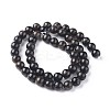 Natural Biotite Beads Strands G-L528-06C-3