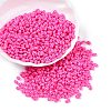 Baking Paint Glass Seed Beads SEED-T006-03Q-3