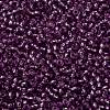 TOHO Round Seed Beads SEED-JPTR11-2219-2