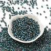 Transparent Inside Colours Glass Seed Beads SEED-H002-A-C223-2