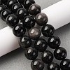 Natural Silver Sheen Obsidian Beads Strands G-F808-C01-14mm-1