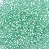 6/0 Glass Seed Beads X-SEED-A015-4mm-2219-2