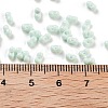 Baking Paint Glass Seed Beads SEED-A033-05R-4