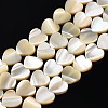 Natural Trochid Shell/Trochus Shell Bead Strands SSHEL-N034-92B-01-1