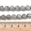 Natural Labradorite Beads Strands G-L642-F07-8mm-5