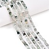 Natural Moss Agate Beads Strands G-T138-211K-1