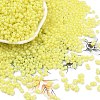 Baking Paint Glass Seed Beads SEED-L011-09A-20-1