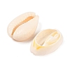 Natural Cowrie Shell Beads BSHE-Q296-1-2