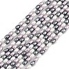 Electroplated Shell Pearl Beads Strands BSHE-H113-06A-04-1