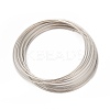 Steel Memory Wire MW5.5cm-1-1