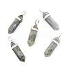 Natural Labradorite Double Terminated Pointed Pendants G-F295-05N-1