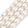 Natural Cultured Freshwater Pearl Beads Strands PEAR-P062-08L-2