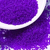 MIYUKI Round Rocailles Beads X-SEED-G007-RR0151F-1