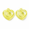 Transparent Acrylic Pendants X-MACR-N013-024-2