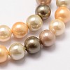 Shell Pearl Bead Strands BSHE-L017-12-3