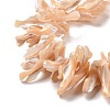 Natural Trochid Shell Beads Strands SSHEL-G023-05C-3