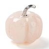 Natural Rose Quartz Display Decorations DJEW-PW0009-007E-1