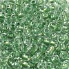 6/0 Transparent Inside Colours Glass Seed Beads SEED-P006-01A-03-3