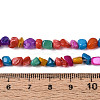 Natural Freshwater Shell Beads Strands SHEL-N038-06B-4