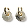 Rack Plating Brass Hoop Earrings EJEW-M248-01G-03-2