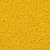 11/0 Grade A Baking Paint Glass Seed Beads X-SEED-N001-A-1002-2
