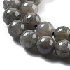 Natural Labradorite Beads Strands X-G-S333-6mm-035-01-3