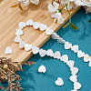 4 Strands Natural Freshwater Shell Beads Strands SHEL-HS0001-11-4