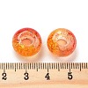 Two Tone Transparent Crackle Acrylic European Beads TACR-P009-B01-4