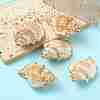 5Pcs Natural Sea Shell Big Pendants with Golden Brass Edge BSHE-YW0001-16-2
