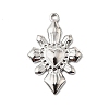 304 Stainless Steel Pendants LS-STAS-H482-02P-1