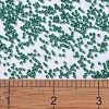 MIYUKI Delica Beads SEED-JP0008-DB0656-4