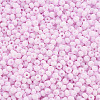 8/0 Opaque Glass Seed Beads X1-SEED-S048-N-011-3