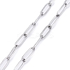 3Pcs 304 Stainless Steel Paperclip Chains Eyeglasses Chains AJEW-DJ0003-47-3
