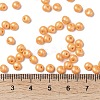 6/0 Glass Seed Beads X1-SEED-L011-08A-19-4