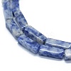 Natural Blue Spot Jasper Beads Strands G-F631-E04-3