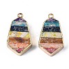 Rainbow Color Natural Imperial Jasper Pendants G-S359-328-2