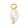 5Pcs Natural Cultured Freshwater Pearl Potato Charms PALLOY-JF02954-1
