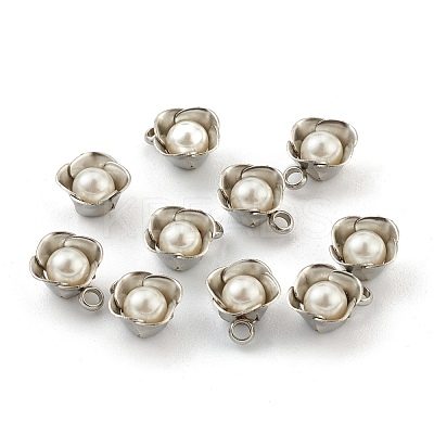 304 Stainless Steel Pendants STAS-Z009-06P-1