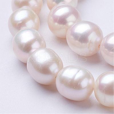 Natural Cultured Freshwater Pearl Beads Strands PEAR-P002-09-1