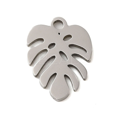 Non-Tarnish 304 Stainless Steel Charms LS-STAS-S123-01P-06-1