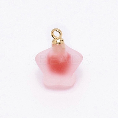 Resin Frosted Pendants MP-TAC0009-03E-1