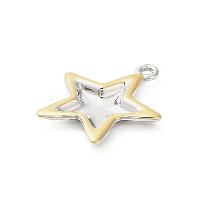 304 Stainless Steel Pendants STAS-P399-03C-1