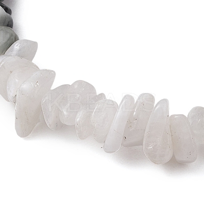 Natural Eagle Eye Stone Chips Beaded Stretch Bracelets for Women BJEW-TA00557-05-1