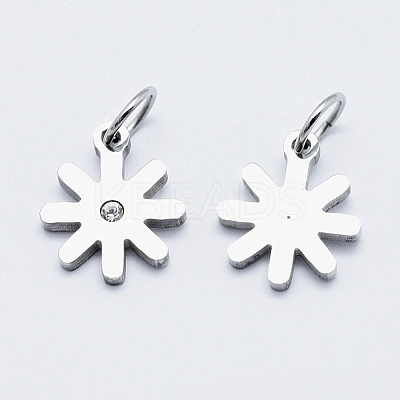 Eco-Friendly 316 Surgical Stainless Steel Micro Pave Cubic Zirconia Charms RB-I078-80P-NR-1