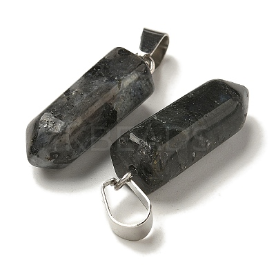Natural Labradorite Pendants G-Z067-07P-24-1