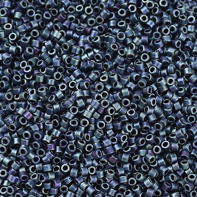 MIYUKI Delica Beads Small SEED-X0054-DBS0325-1