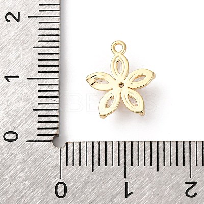 Brass Micro Pave Cubic Zirconia Charms LS-KK-D371-04F-G-1